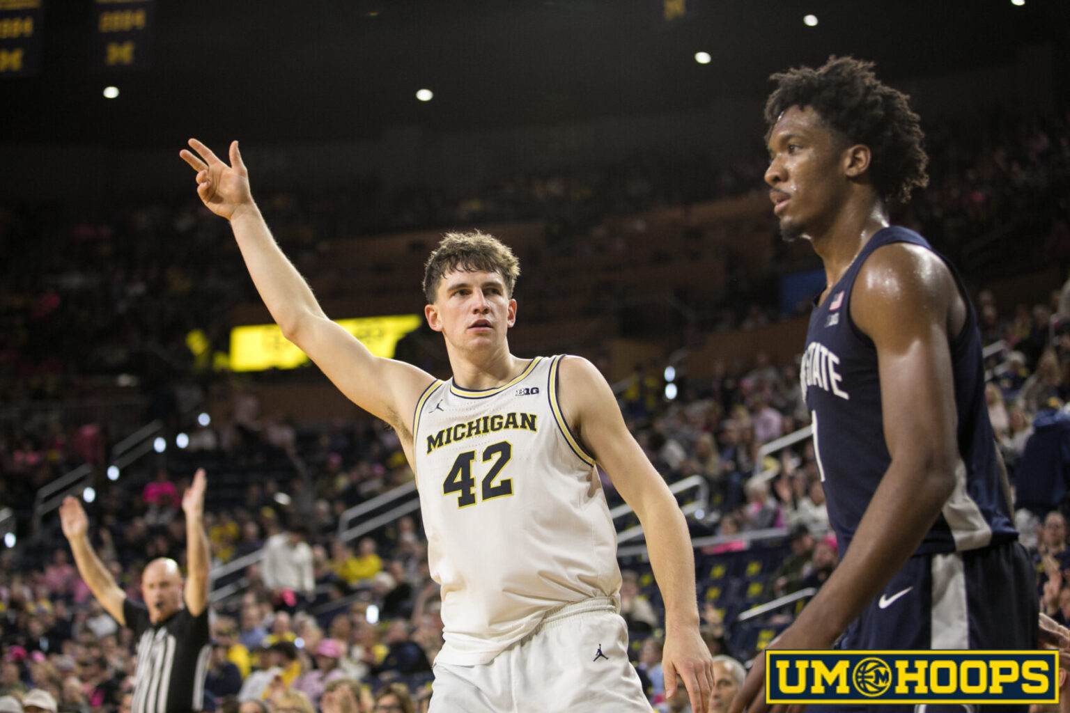 Game 28: Minnesota at Michigan Open Thread | UM Hoops.com